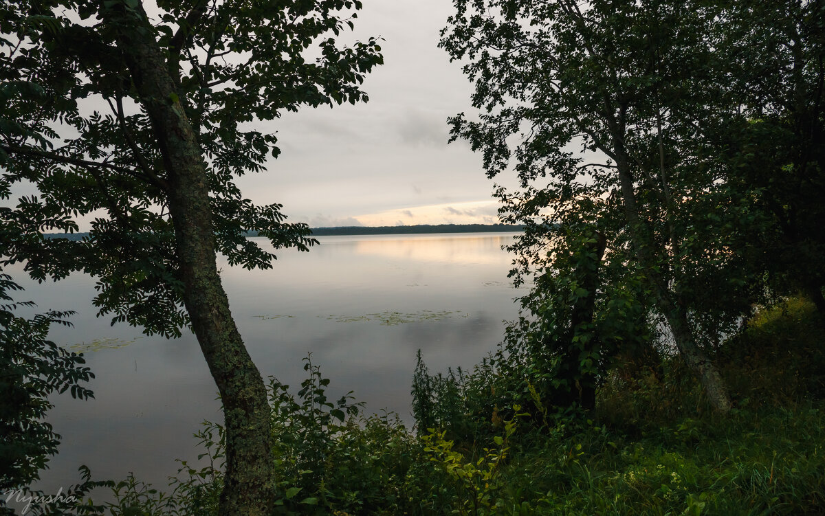 Вечер на озере - Nyusha .