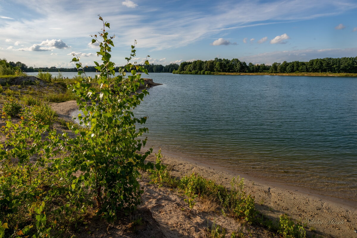 Пейзаж с берёзкой на берегу озера - Николай Гирш