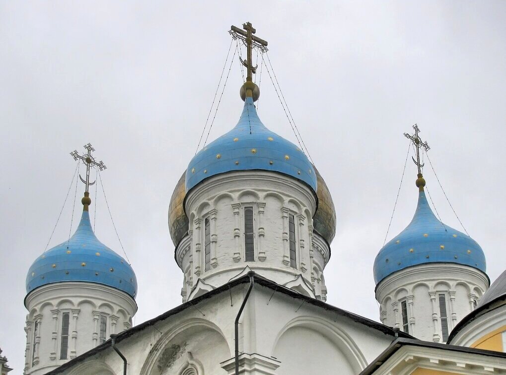 Новоспасский монастырь. Купола Преображенского собора. - Татьяна Беляева