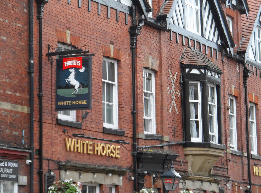 White Horse ( «белая лошадь») — марка одного из известных шотландских купажированных виски - Галина 