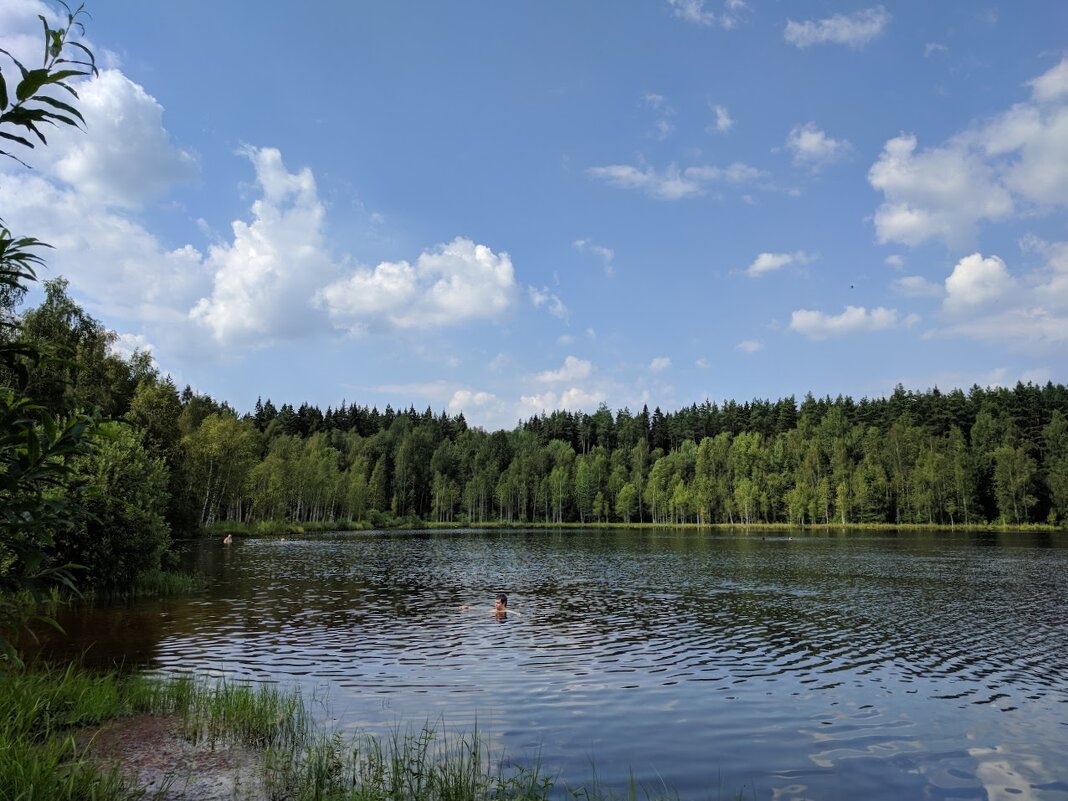 На озере - Марина Птичка