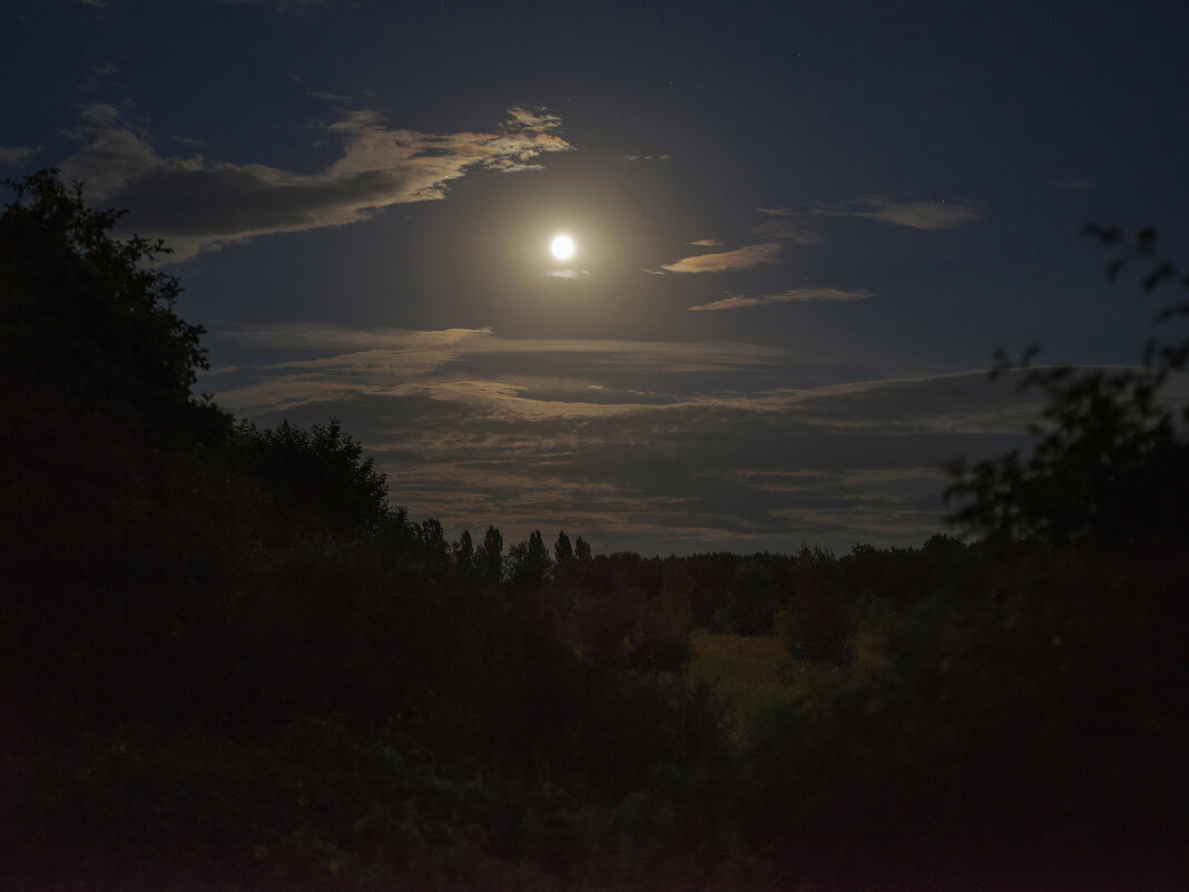Лунная ночь - Юрий Губрий