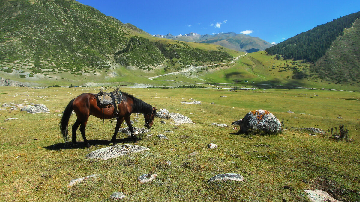 Киргизия,,, - шмакова тамара 