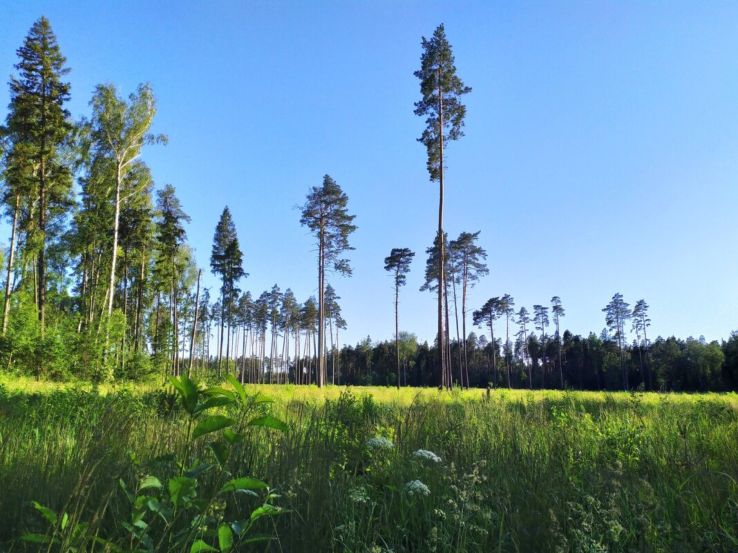 Фото во время экскурсии - Фотогруппа Весна