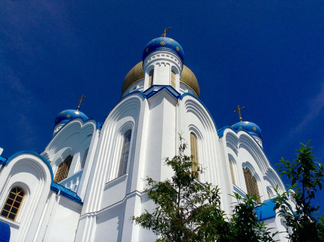Храм Христа Спасителя - Светлана Баталий