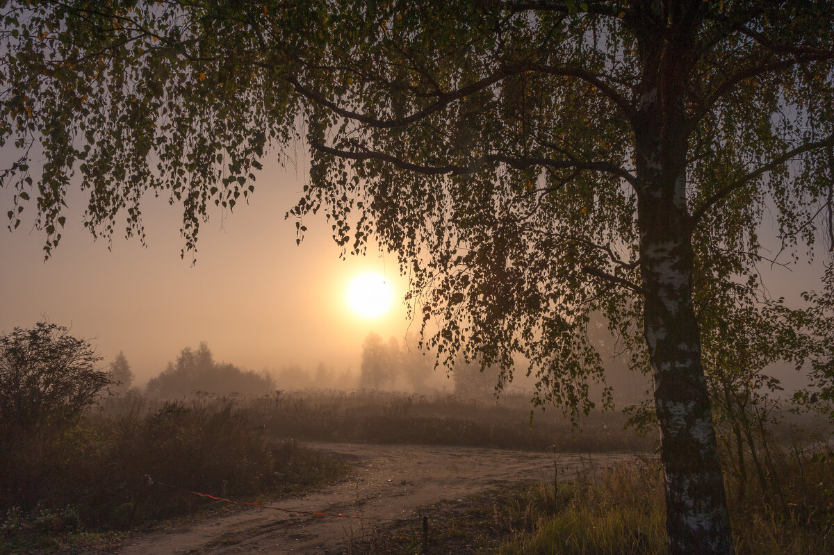 Туманное утро - Валерий Иванович