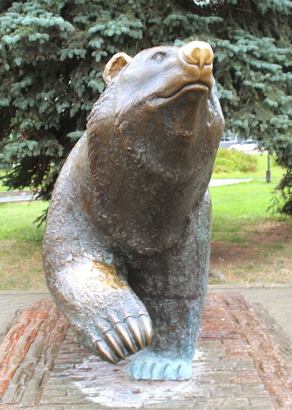 пермский медведь - ольга хакимова