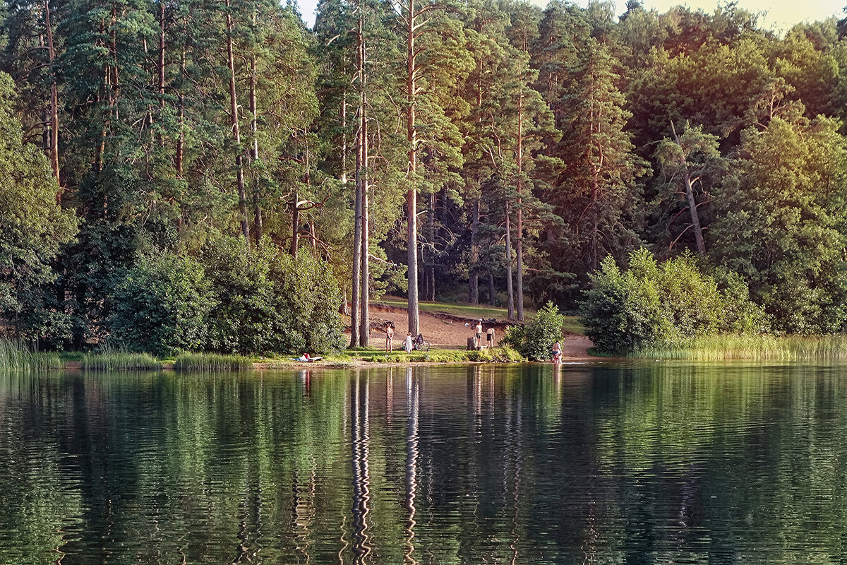 лесное озеро - Владимир Матва