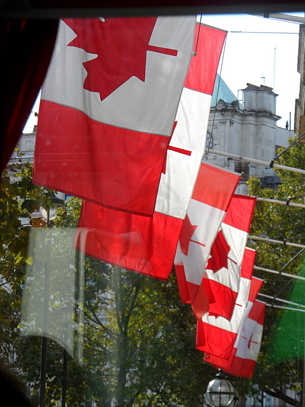 Флаги Канады в Лондоне - Галина 