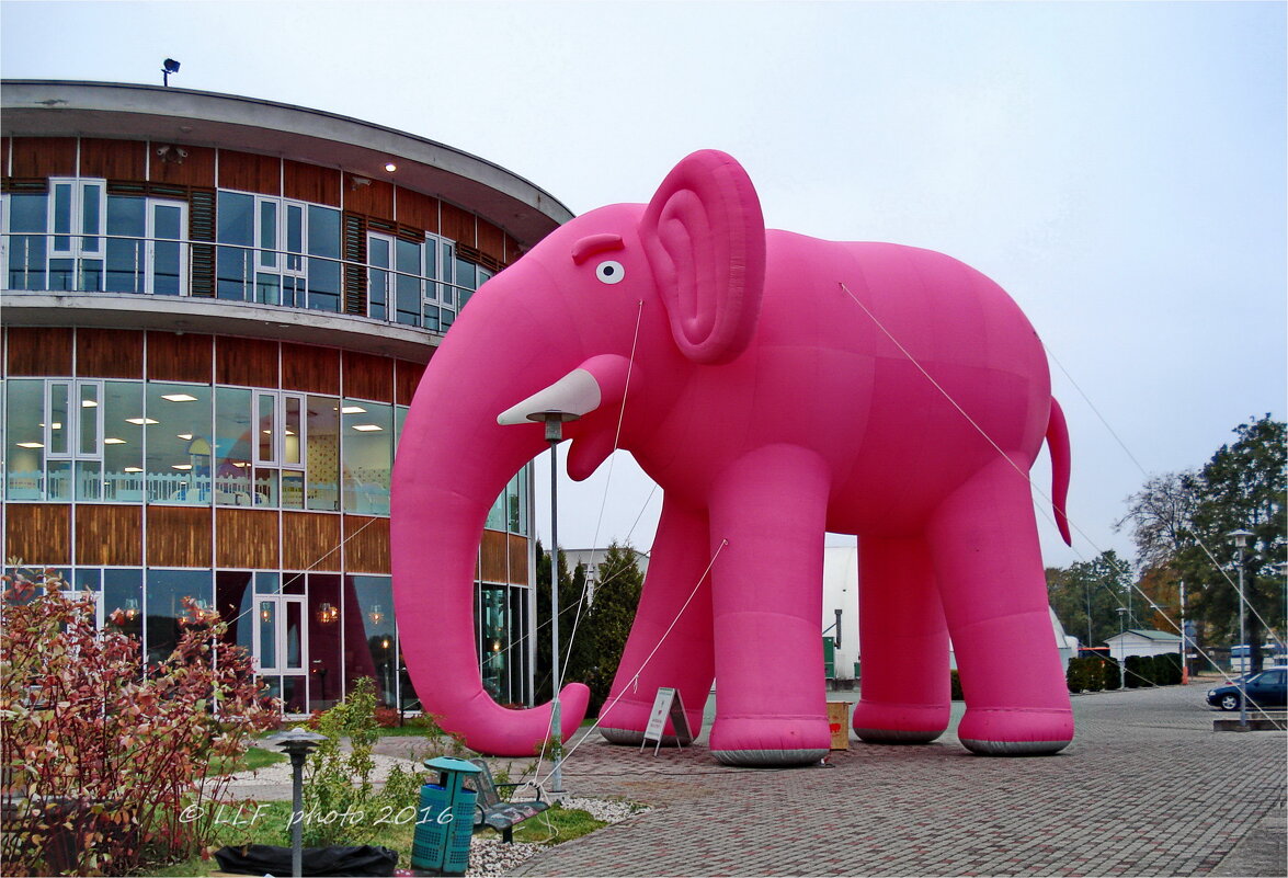 Розовый слон - Liudmila LLF