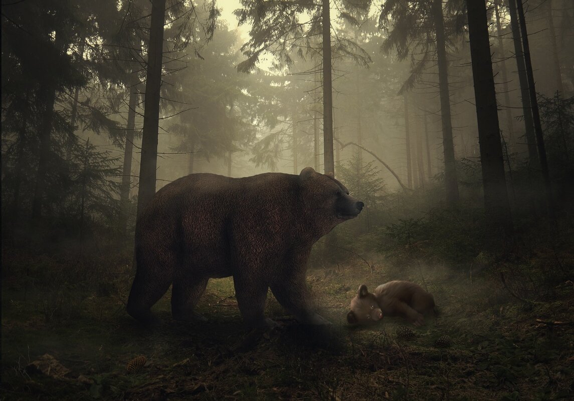 Медведь в туманном лесу