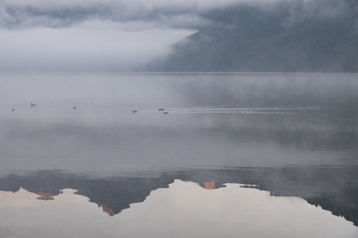 туманным утром на НижнеМультинском озере - Ларико Ильющенко