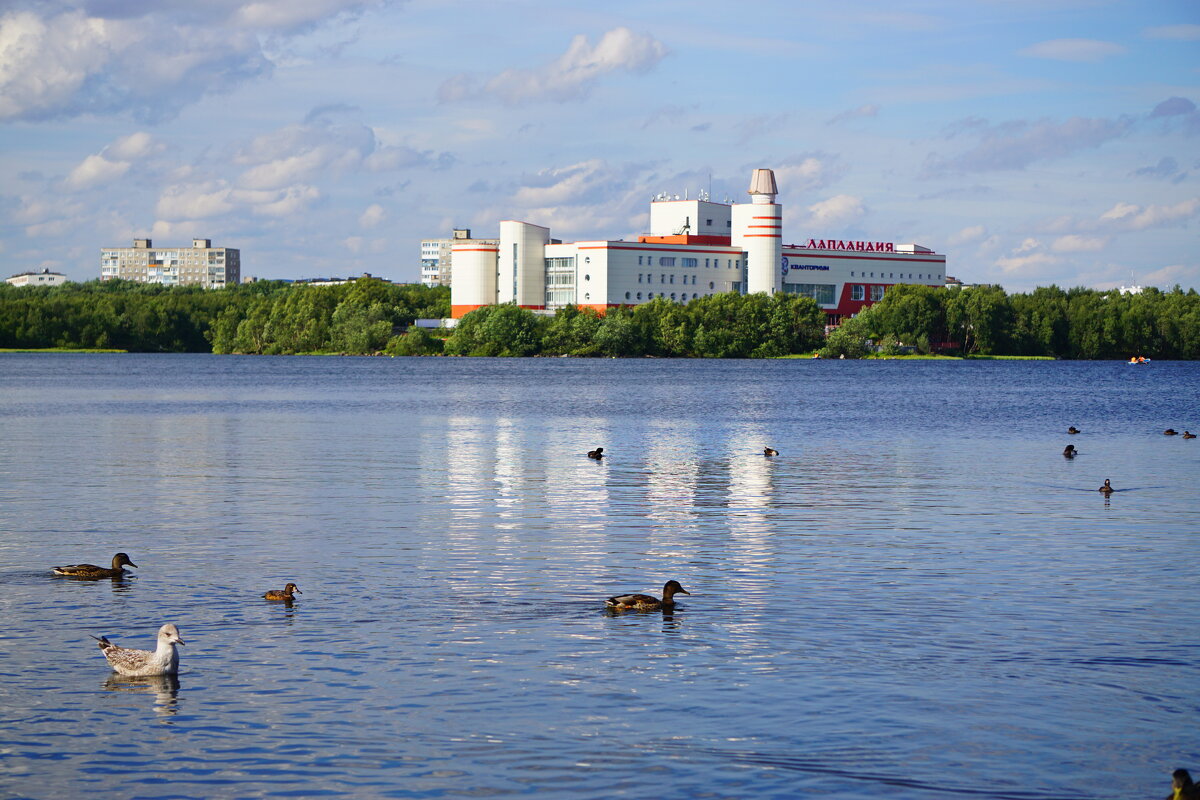 Семеновское озеро в центре города Мурманска. - Анна Приходько