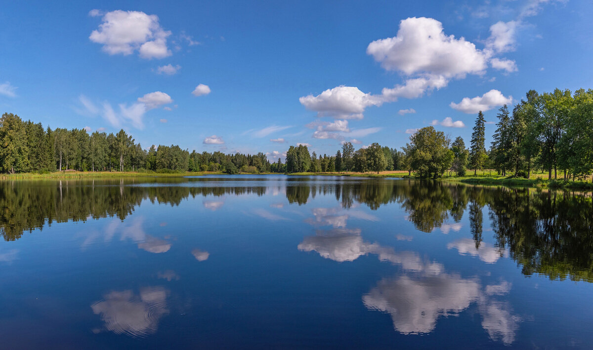 ** - Елизавета .