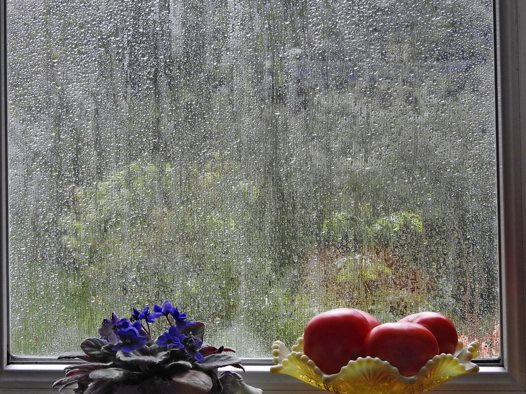 дождь за окном - ИННА ПОРОХОВА