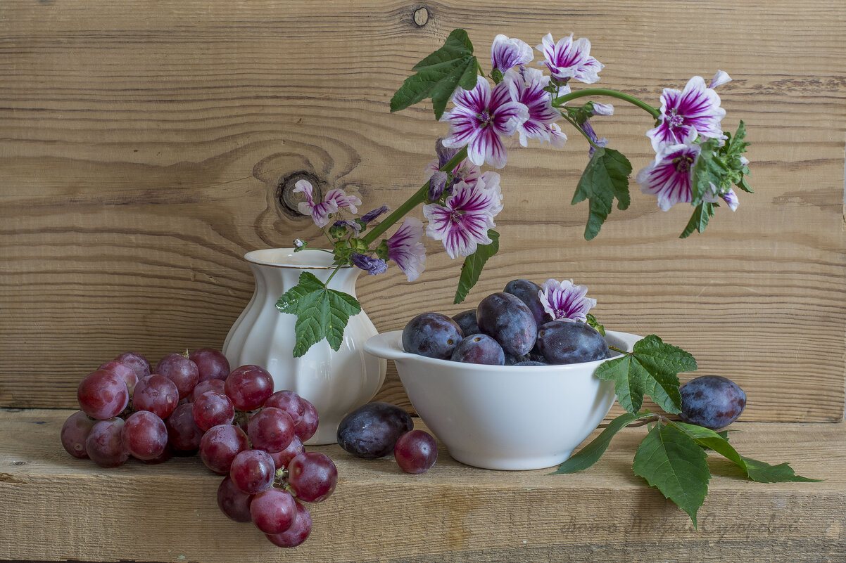 Натюрморт со сливами и виноградом - Лидия Суюрова