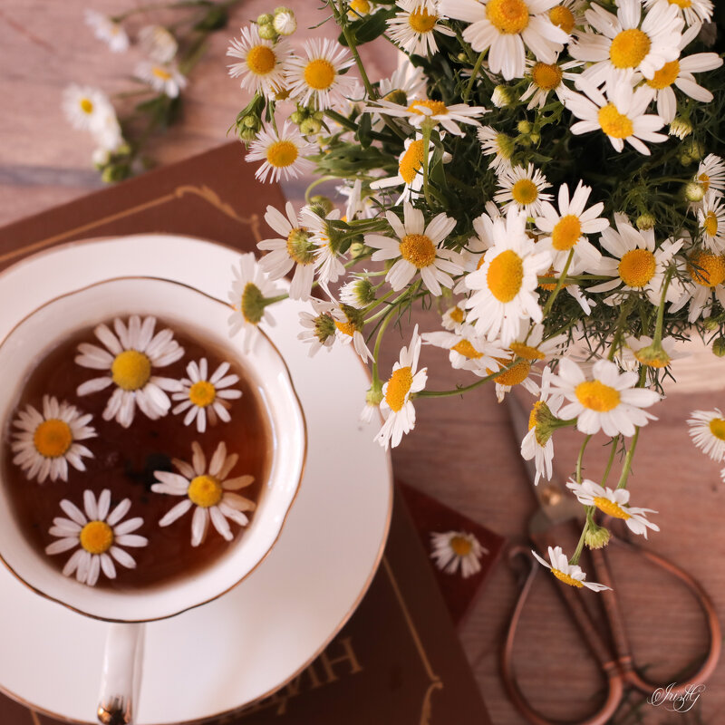 Ромашковый чай - Irene Irene