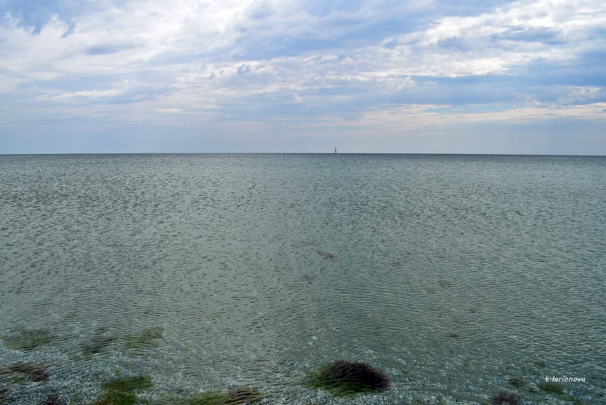 Черное море. Кинбурнская коса - Татьяна Ларионова