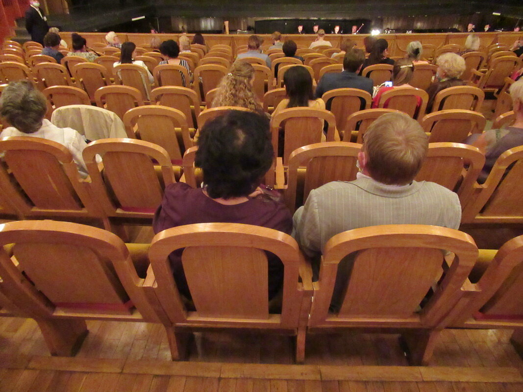 Рассадка зрителей в театре во время пандемии - Александр Чеботарь