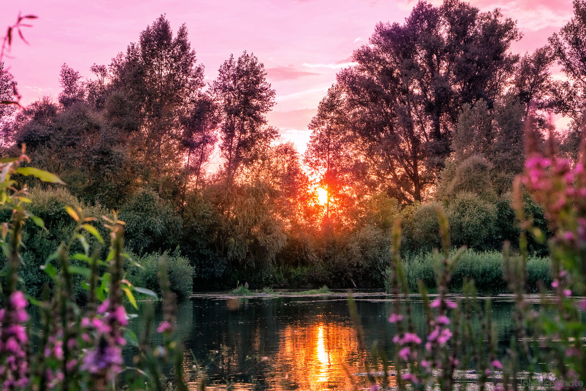 Розовый закат у реки - Татьяна Минаева