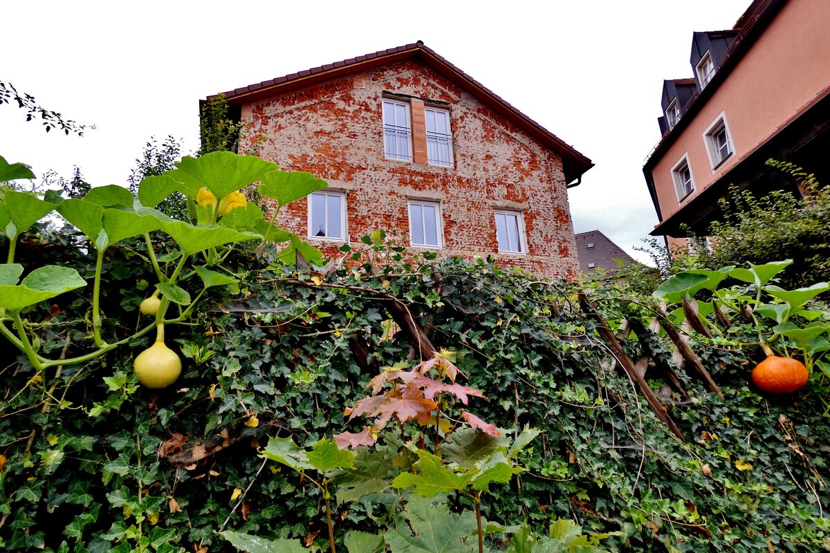 Интересный,очень старинный  дом  в Амберге,ему  938 лет - backareva.irina Бакарева