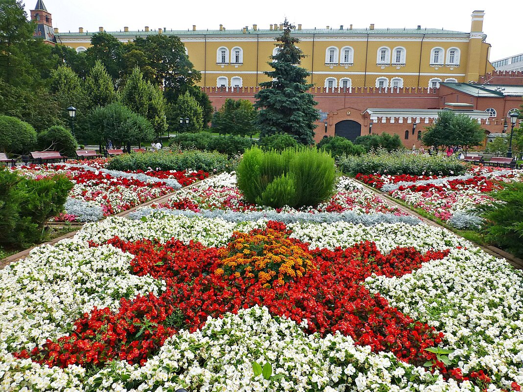 Цветник в Александровском саду - Лидия Бусурина