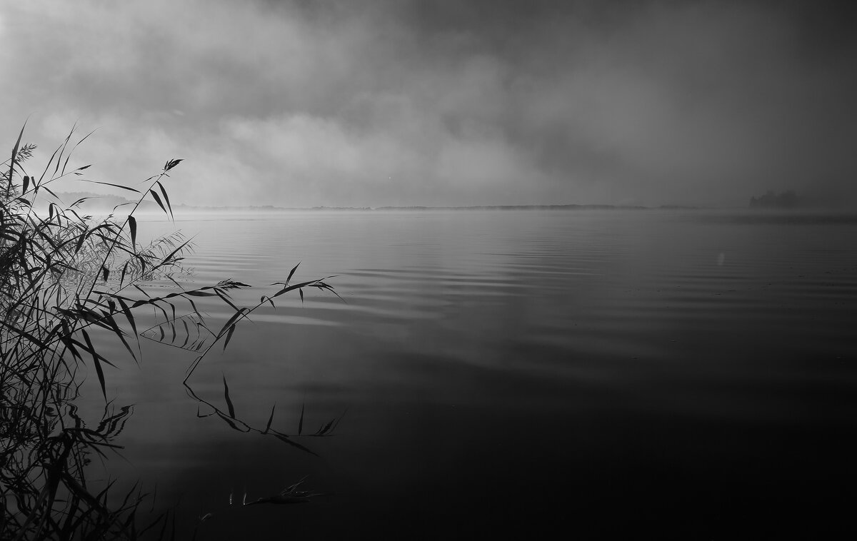 Озеро,туман. - Павел 