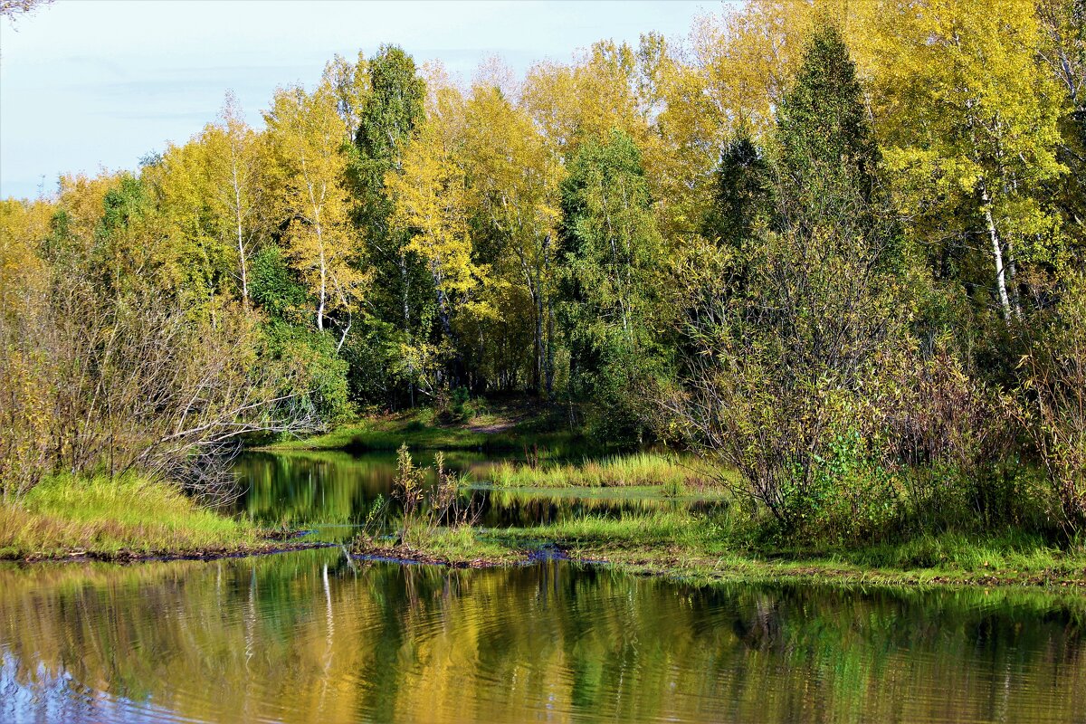 Мой Красноярск - Василий 