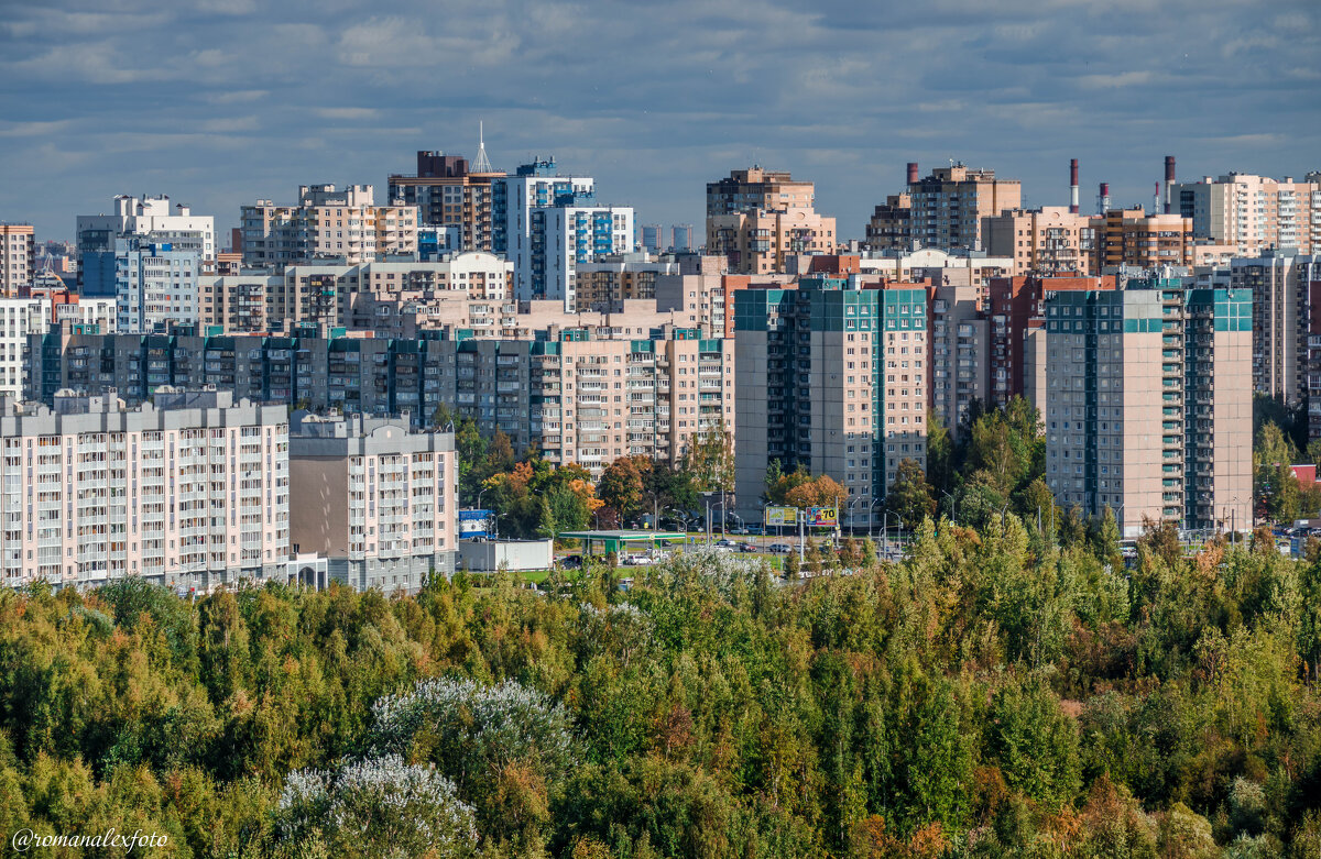 Красносельский район Санкт-Петербурга - Роман Алексеев