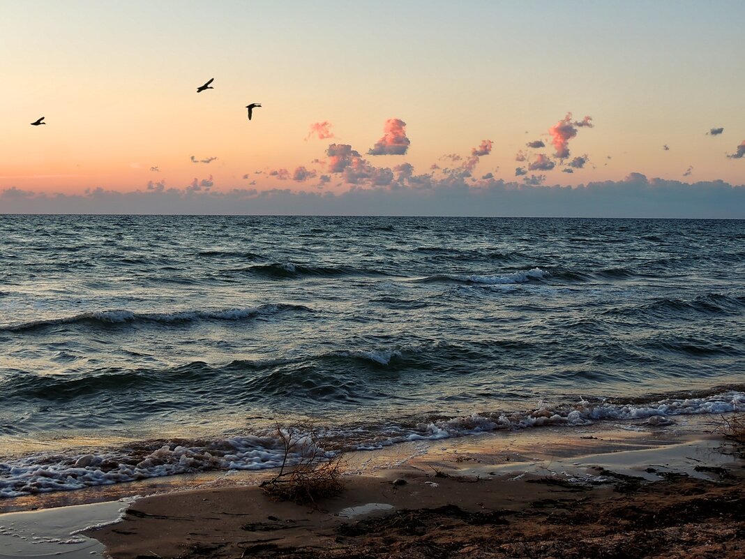 У моря, у синего моря... - Роман Савоцкий