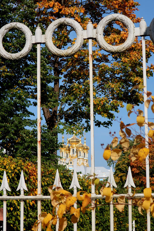 Осень в Екатерининском парке - Ирина Фирсова