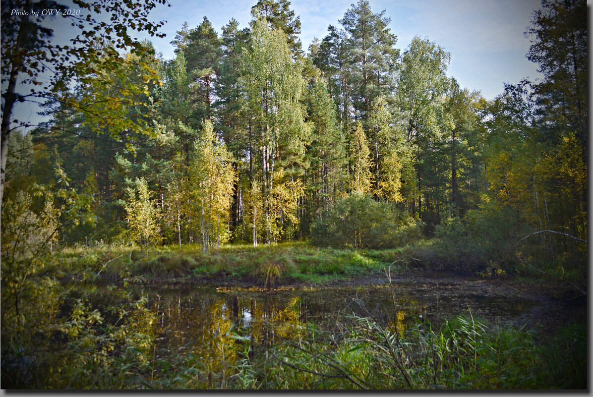 Уржумка речка,лес,грибы и прекрасная осень ! - Юрий Ефимов