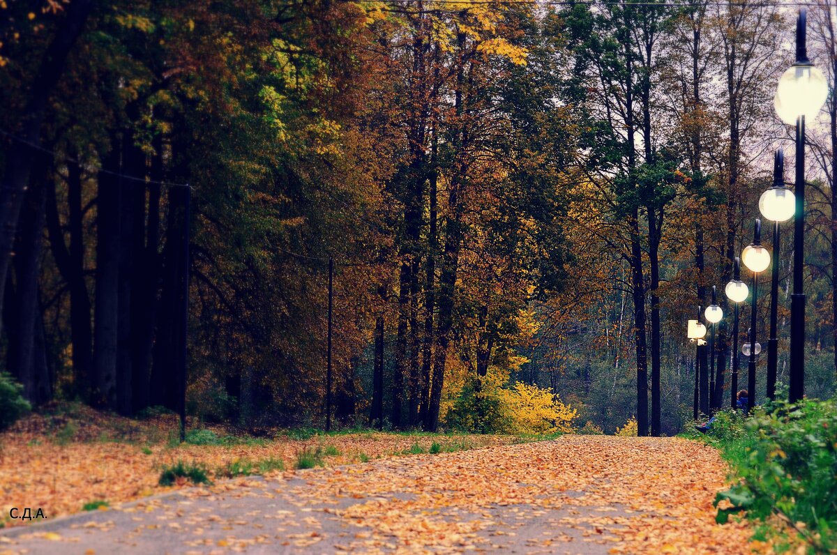 Осень в Клину - Дмитрий 