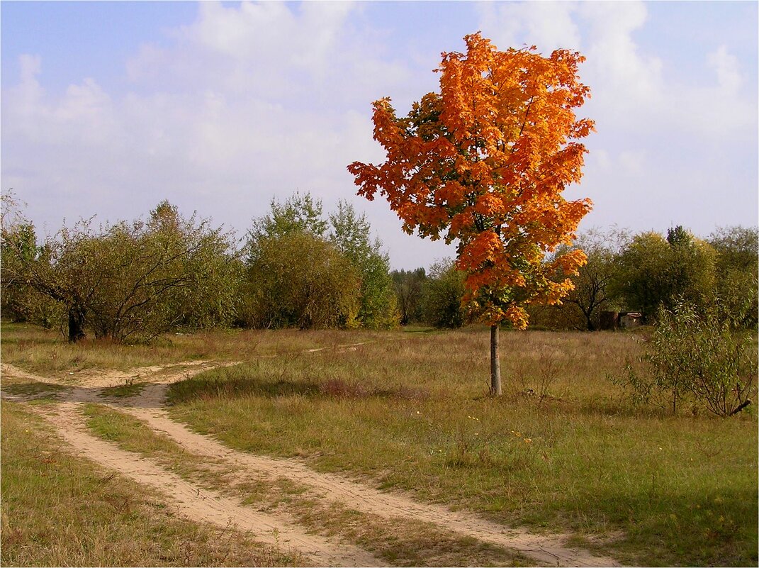 Осень у дороги - Геннадий Худолеев Худолеев