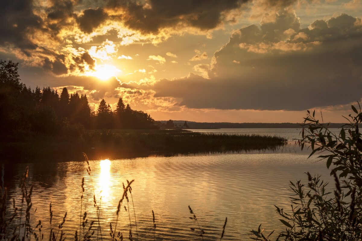 Закат на Сиверском озере - Наталья Кузнецова