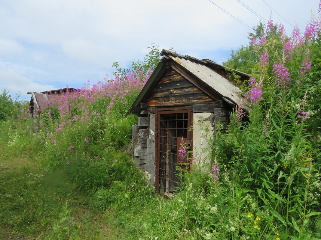 погреба, сараи.. - ИРЭН@ .