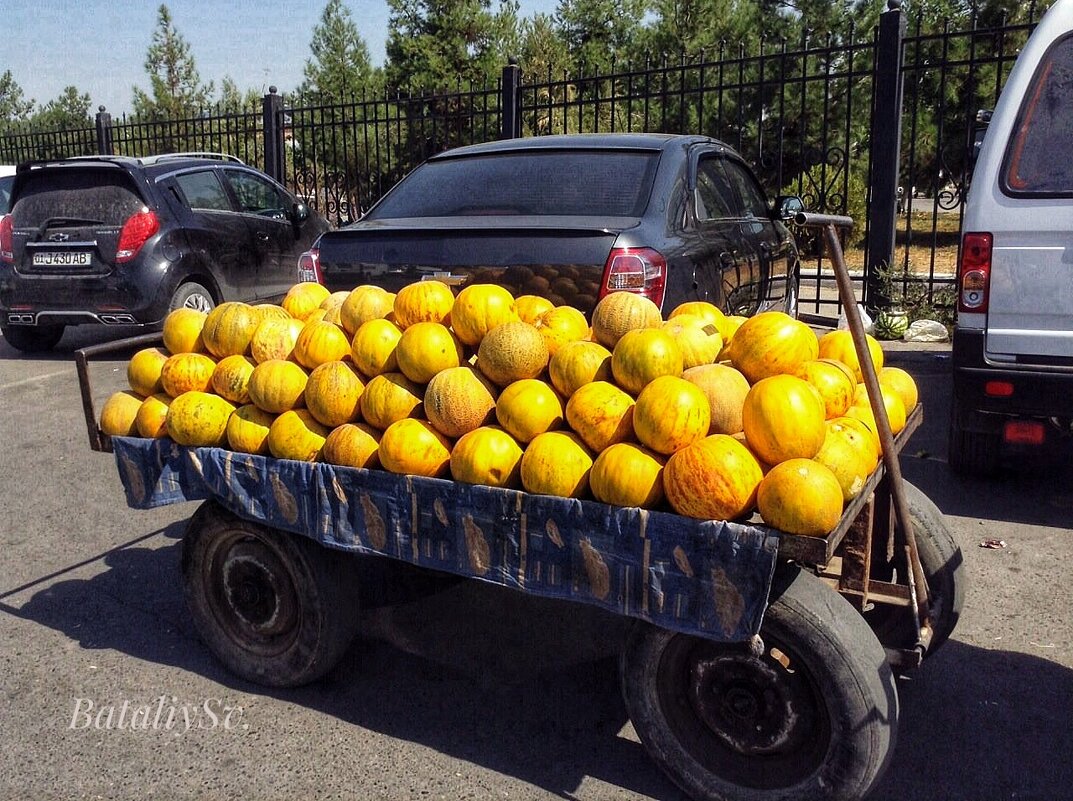 восточный базар - Светлана Баталий