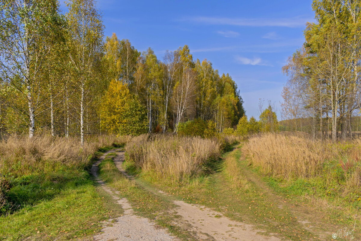 Осенний пейзаж - Владимир Ефимов