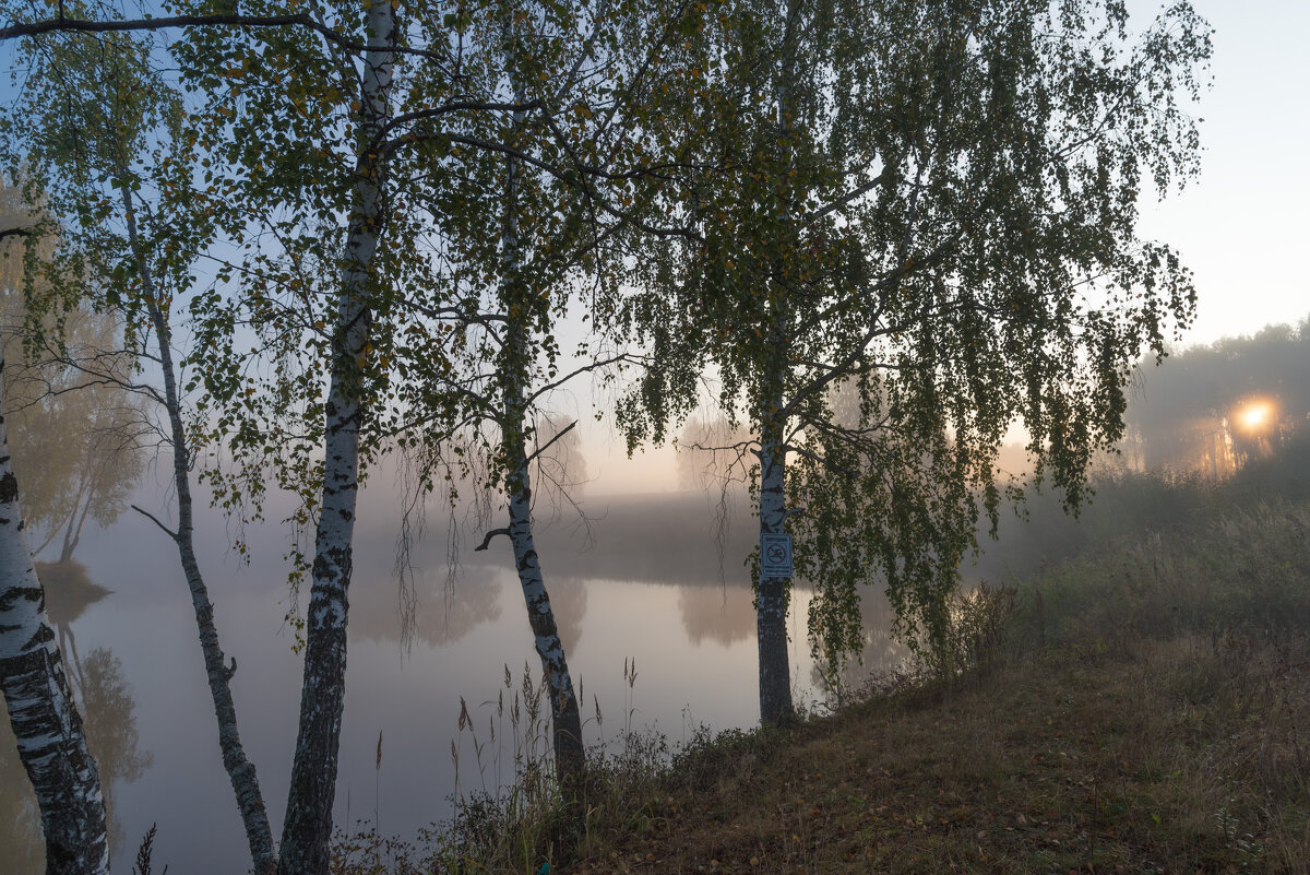 Туман на озере. - Владимир Безбородов