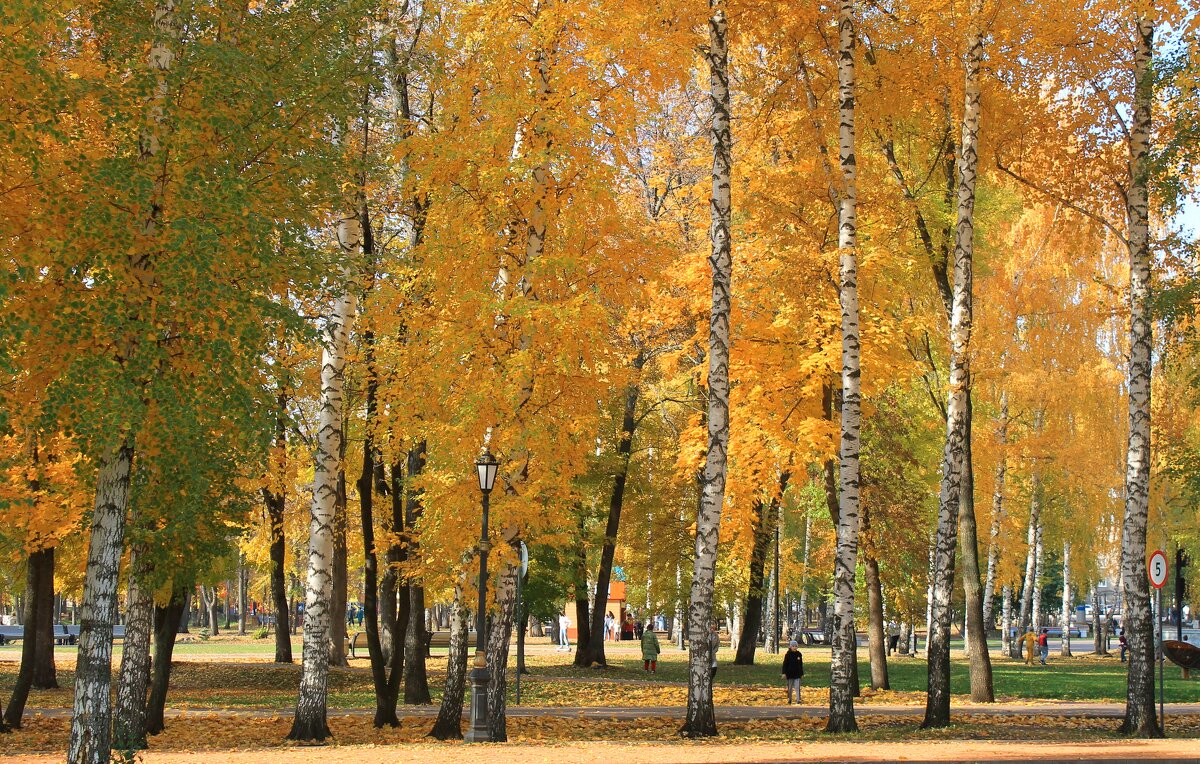 в городском парке - Горкун Ольга Николаевна 