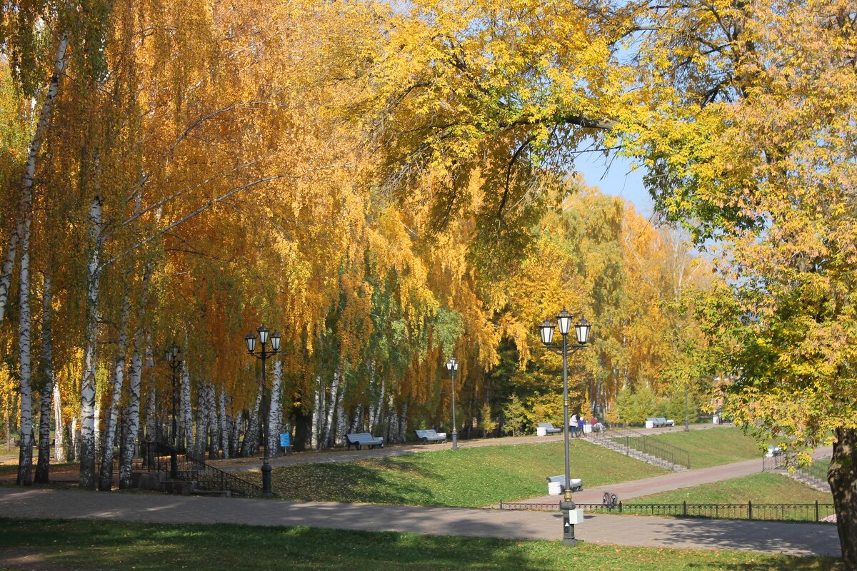 в городском парке - Горкун Ольга Николаевна 