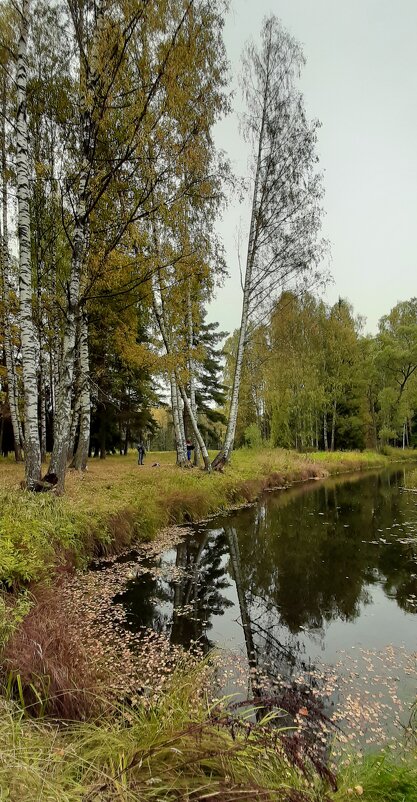 Павловский парк. Долина прудов - Наталья Герасимова