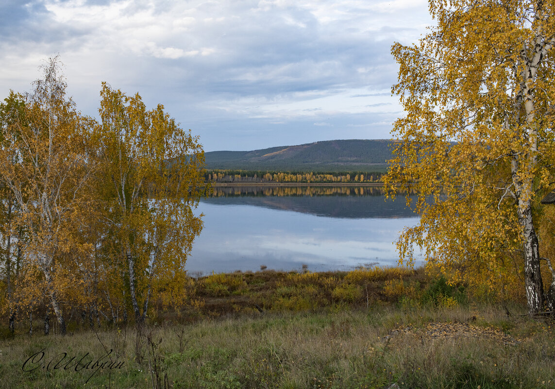 Меж осенних берегов несет воды свои Ангара... - Сергей Шаврин