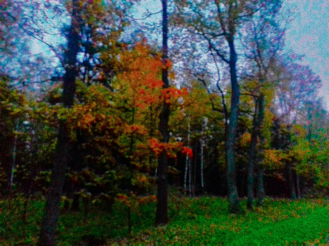 Осенний вечер - Сапсан 