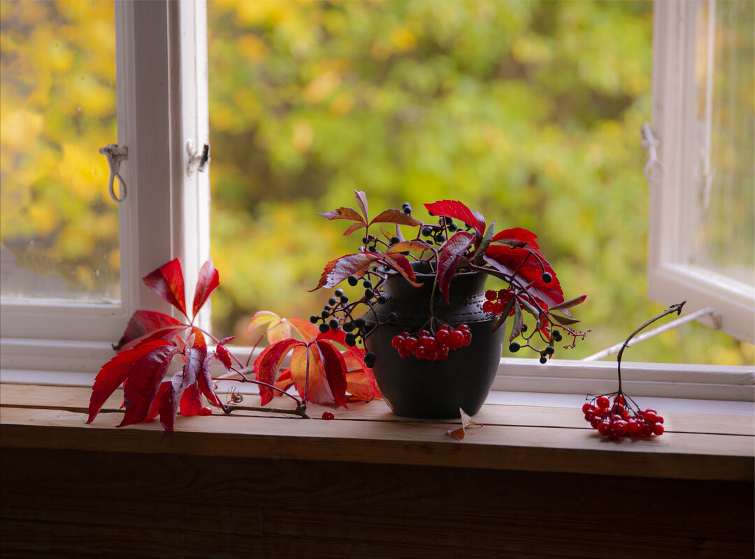 Осень за моим окном - liudmila drake