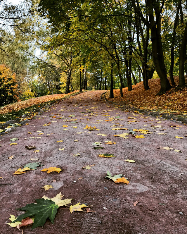 Осенняя тропа ... - Лариса Корженевская