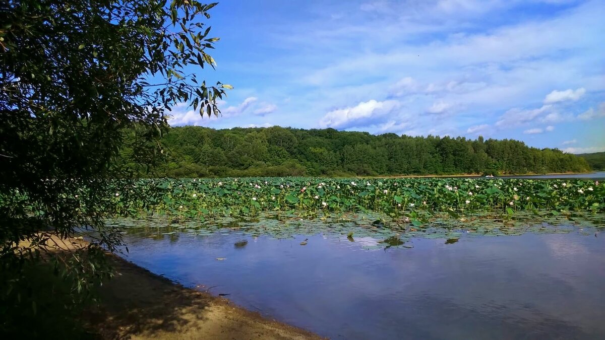 Кронштадтское водохранилище - Татьяна Тумина