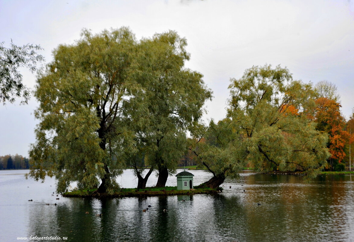 Гатчинкий парк - Игорь Корф