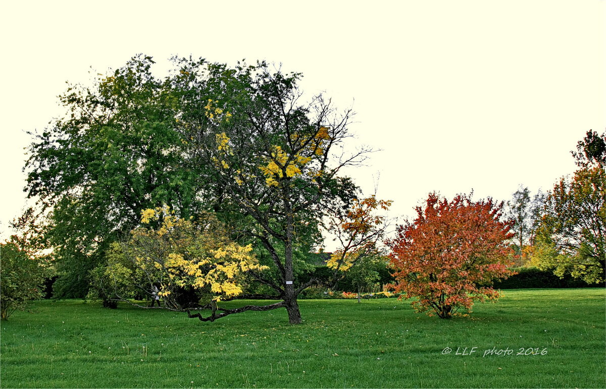 Осенний пейзаж. - Liudmila LLF