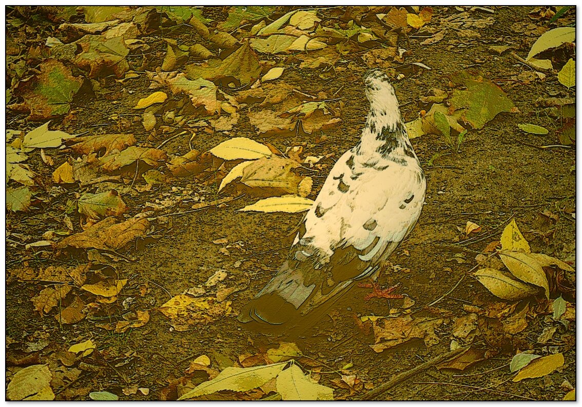 Птица в осенней листве - Людмила 